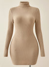 RIBBED TURTLENECK KNIT MINI DRESS