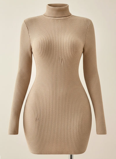 RIBBED TURTLENECK KNIT MINI DRESS