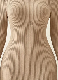 RIBBED TURTLENECK KNIT MINI DRESS