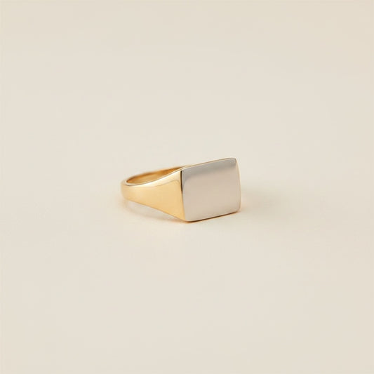 Two-tone signet ring with polished silver rectangular face and warm 14k gold band on soft off-white studio backdrop.