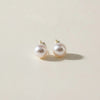 AKOYA PEARL GOLD STUDS